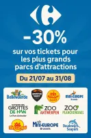 -30% sur certains parcs d'attractions !